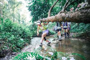 BIB: 
                            <button type="button" onclick="openModal(25455083)" class="btn btn-primary btn-sm float-right btn-popup" data-toggle="modal" data-target=".modal-high-quality">
                        <i class="fas fa-shopping-cart"></i> Add to Cart
                    </button>
                                            <button type="button" onclick="isThisMe(25455083, true)" class="btn btn-success btn-sm float-right btn-popup btn-isme hidden" data-toggle="tooltip" data-placement="bottom" title="นี่คือรูปของคุณใช่ไหม คลิกที่นี่เพื่อเอาเข้าอัลบั้ม">
                        <i class="fas fa-plus"></i> Add to album
                    </button>
                    <button type="button" onclick="isThisMe(25455083, false)" class="btn btn-warning btn-sm float-right btn-popup btn-isnotme hidden">
                        <i class="fas fa-ban"></i> Remove from album
                    </button>